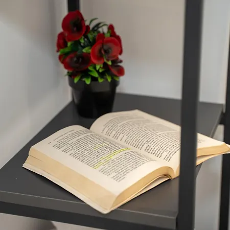 Sunnydream 게스트하우스