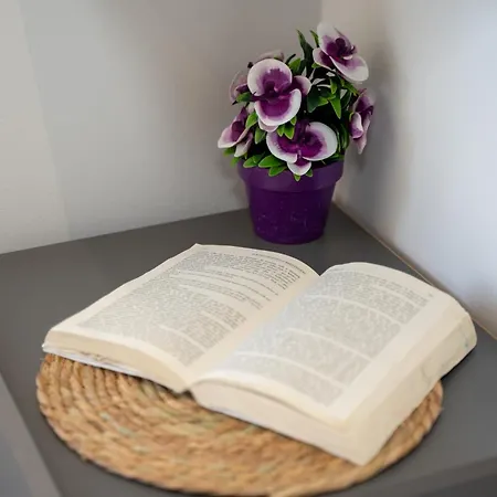 게스트하우스 Sunnydream