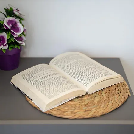 Sunnydream 게스트하우스 3*