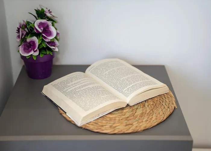 Sunnydream Gasthuis 3*